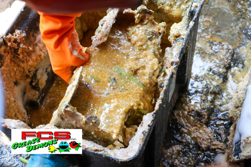 Choosing the Right Grease Trap Cleaning and Pump Service